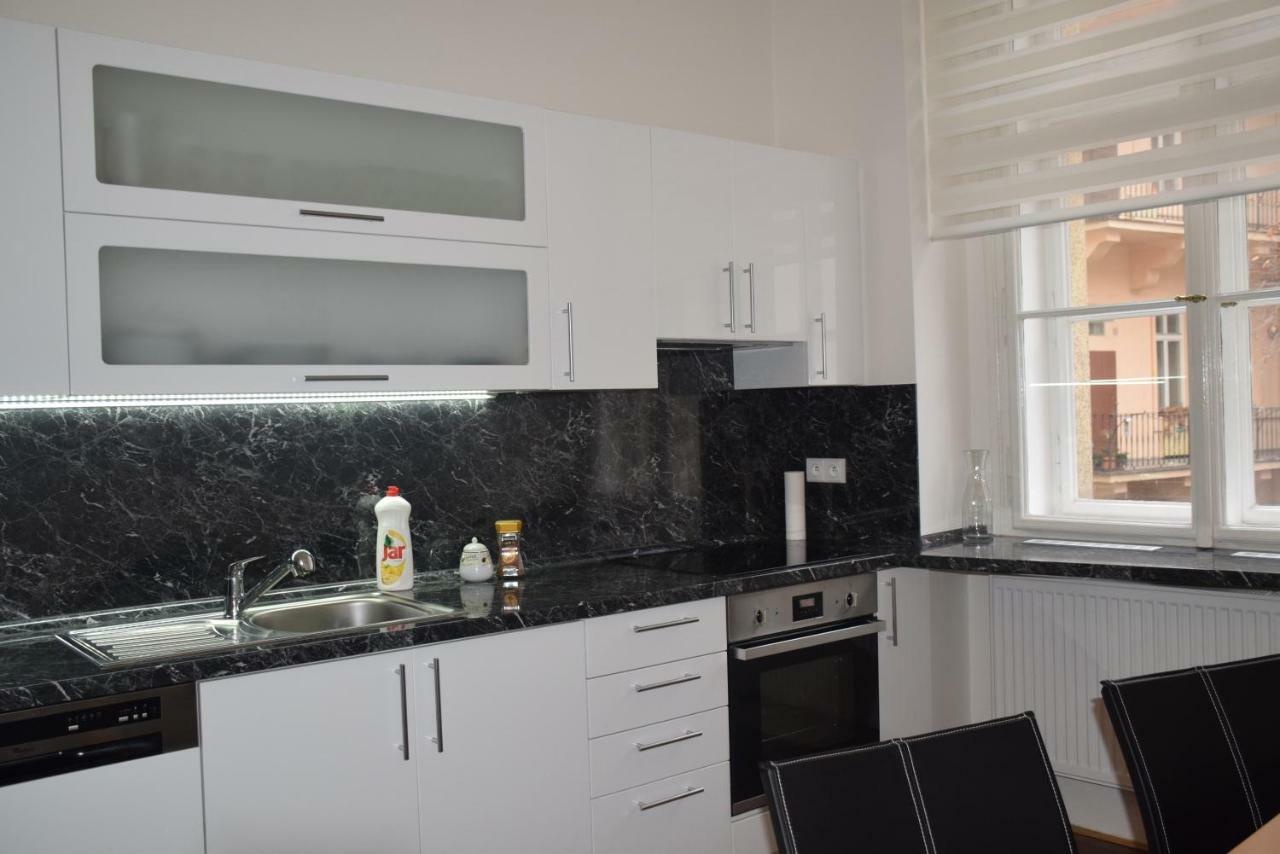 Tiva Downtown Apartments 布拉格 外观 照片